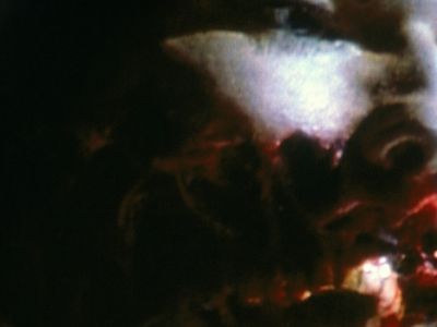 James Cameron Piranha 2 The Spawning - Les Tueurs Volants